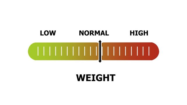 weight level indicator scale. Low normal & high meter infographic animation. Showing high weight level color gauge indicator. on a white background 4k animation video
