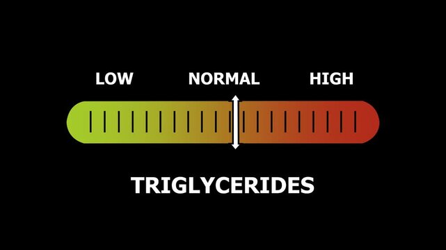 trigl ycerides level indicator scale. Low normal & high meter infographic animation. Showing high triglycrides level color gauge indicator. on a black background 4k animation video