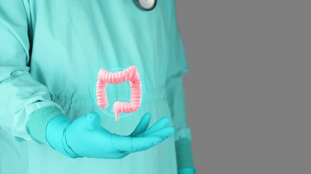 Doctor in green uniform presents the large intestine in 3D. Concept of digestive health, gastroenterology, bowel function, prevention and awareness of polyps and colorectal cancer. Isolated.