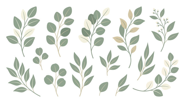 Collection of various green leafy branches.