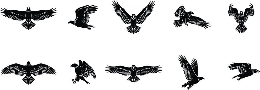 Flying eagle silhouette set with wild hawk falcon and vulture figures for heraldic military and sports team logo design vectorFlying eagle silhouette set with wild hawk falcon and vulture figures for 