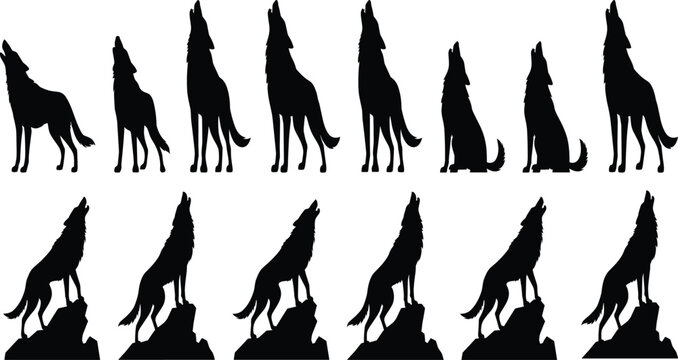 Howling wolf silhouette icon set featuring wild coyote on rock mountain night predator wildlife animal black vector shapesHowling wolf silhouette icon set featuring wild coyote on rock mountain night 
