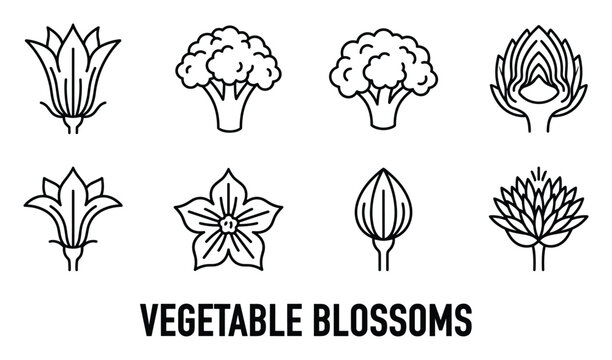 Assortment of vegetable blossoms and flower buds in outline icon style.