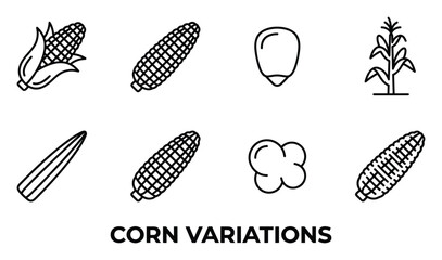 Fototapeta premium Corn variations including whole cobs kernels popped corn and corn plant in simple line art style.