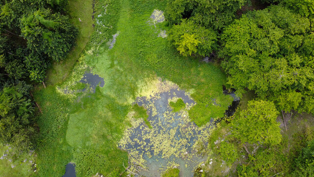 Aerial birdseye view of water and green landscape in Nino Konis Santana National Park in Tutuala, Lautem District, Timor-Leste