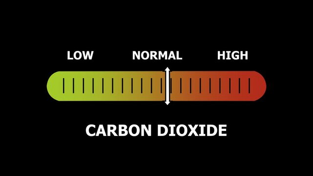 carbon dioxide level indicator scale. Low normal & high meter infographic animation. Showing high selenium level color gauge indicator. on a black background 4k animation video