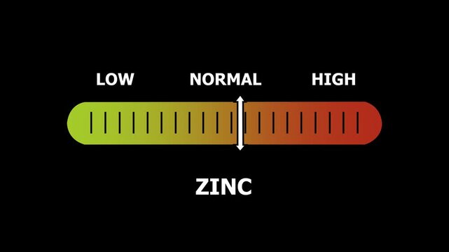 zinc level indicator scale. Low normal & high meter infographic animation. Showing high zinc level color gauge indicator. on a black background 4k animation video