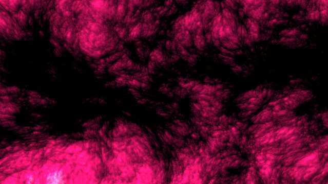 Organic Flesh Pulse Abstract Background - Intricate Microscopic Detail 27