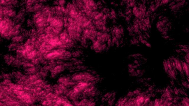 Organic Flesh Pulse Abstract Background - Intricate Microscopic Detail 26