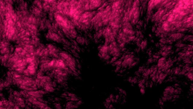 Organic Flesh Pulse Abstract Background - Intricate Microscopic Detail 28