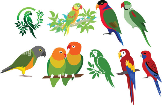 Tropical parrot vector collection, colorful exotic bird illustrations, set of 9 macaw and lovebird icons, vibrant wildlife graphics for nature design