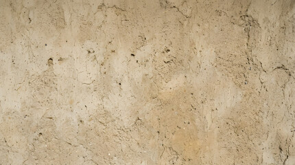 Fototapeta premium Textured Beige Wall: A close-up view of a beige wall with a subtle, natural texture, showing delicate cracks and variations in tone, creating an organic and minimalist aesthetic.