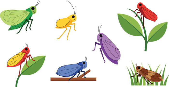 Cicada and Planthopper Insect Vector Illustration Set Featuring Flat Cartoon Leafhopper Characters Resting on Leaves Twigs and Grass