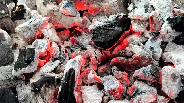 Hot burning charcoal with red embers and white ash. A stable, efficient, and smoke free heat source, this charcoal is ideal for domestic, culinary, and industrial use
