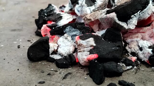 Hot burning charcoal with red embers and white ash. A stable, efficient, and smoke-free heat source, this charcoal is ideal for domestic, culinary, and industrial use