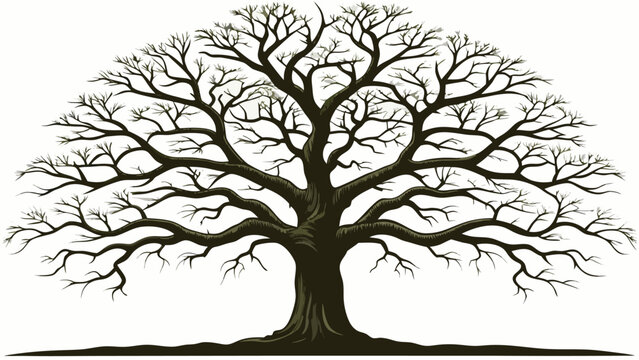 Ancient oak tree silhouette against a white background during winter symbolizing strength and longevity for organic branding