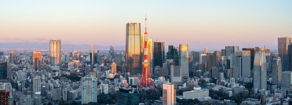 Tokyo skyline panorama at sunrise, Tokyo, Japan