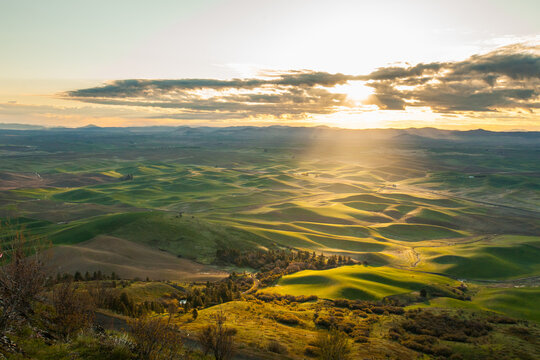 Golden sunset light beams over rolling green hills
