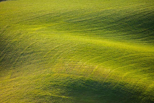Sunlight and shadows on rolling green grass field and meadow