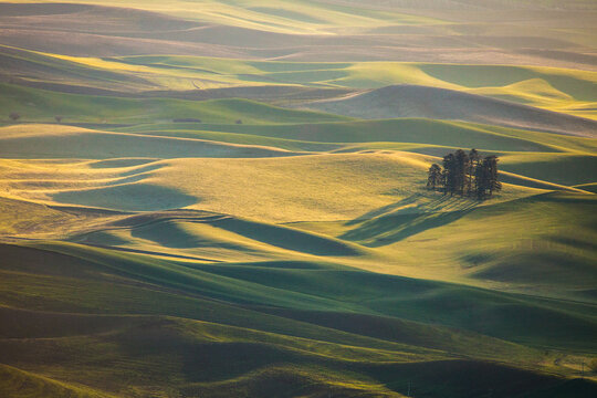 Golden light sweeps across rolling green hills and trees