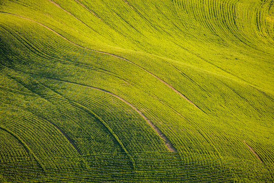 Aerial view of lush green rolling farm fields