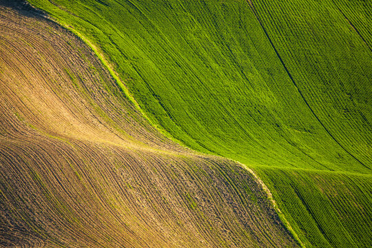 Lush green and brown rolling agricultural field