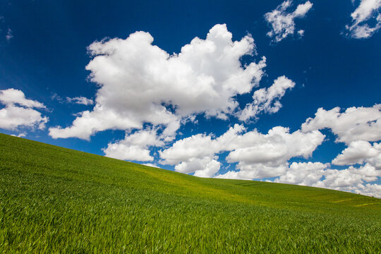 Green rolling hills under a cloudy blue sky