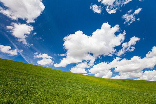 Rolling green hills beneath a bright blue sky