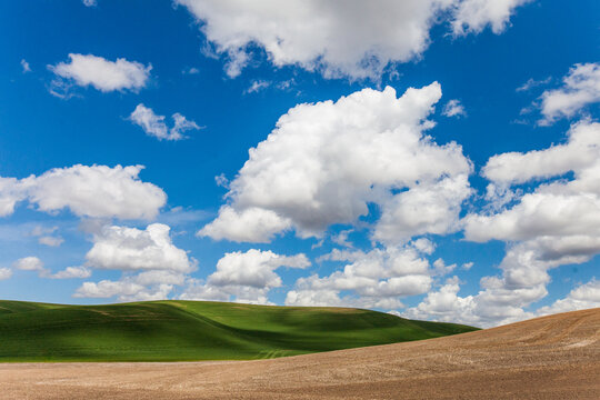 Puffy white clouds float over rolling green farmland