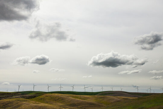 A wind farm across rolling hills on an overcast day