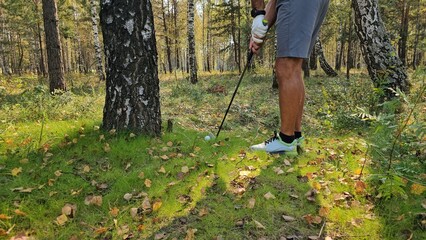 Naklejka premium Golfer prepares to take a shot on the golf course surrounded by trees and foliage during the day