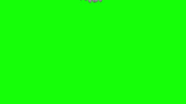 Eagle Flight Animation  Top View Green Screen 4K