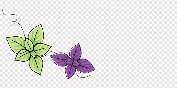 Basil leaves arranged on continuous line minimalist background. none editable strokes, Continuous one line drawing of basil. Modern style vector illustration on isolated background, Continuous line