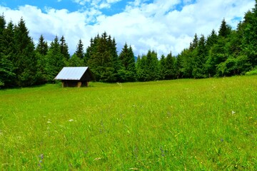 Glade in summer with a hut bellow Rudnica in Gorenjska, Slovenia © kato08