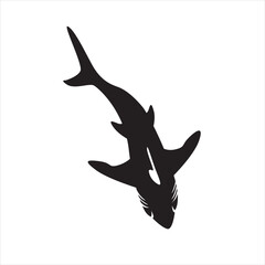 Fototapeta premium this is a scary shark