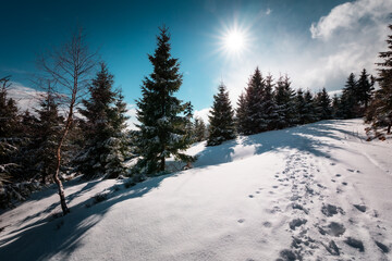 Fototapeta premium Bright sunny winter day on mountain ridge with snow and blue sky