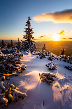 Golden winter sunrise over snowy mountain valley with pine trees.