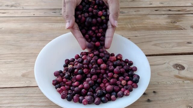 Phalsa berries placed in white plate after cleaning for serving