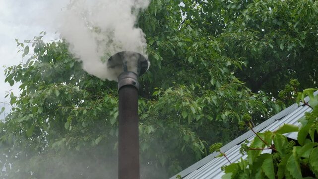 Light smoke comes out of a metal stovepipe of a country house against dense tree foliage. Low angle view of a chimney installed on the roof of a village sauna on a summer day