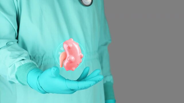 A doctor in a green uniform presents a 3D model of a kidney with cysts. Concept of kidney disease, pathology, prevention, and awareness of kidney complications and renal failure. Isolated.