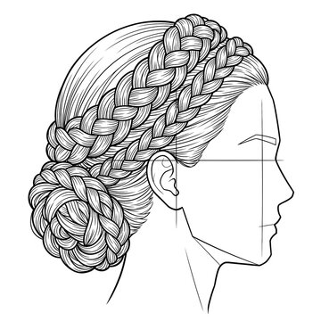 Hand drawn sketch of double layered crown braids side profile view isolated. Line art illustration.