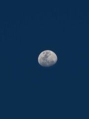 Obraz premium moon