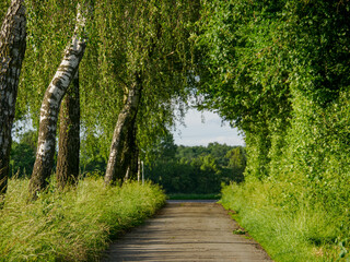 Frühsommer im westlichen Münsterland © Stephan Sühling