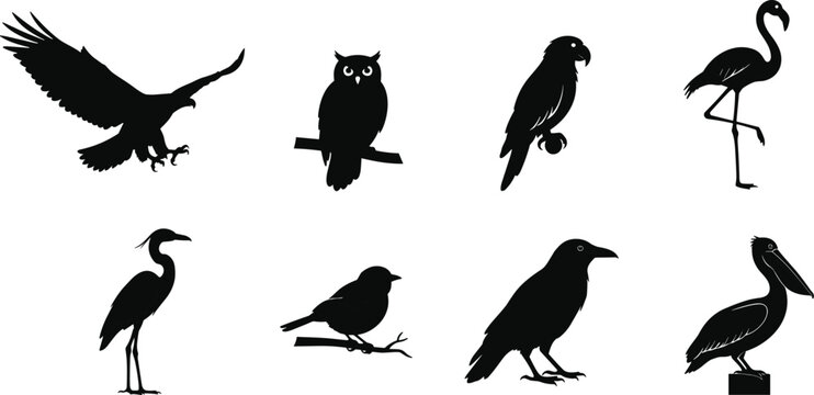Bird silhouettes set, eagle, owl, parrot, flamingo, heron, crow, pelican vector illustration, wildlife design artwork for nature themes