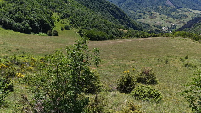 Panorama montano con pendii erbosi, arbusti sparsi e una valle boscosa che conduce a un piccolo borgo in lontananza