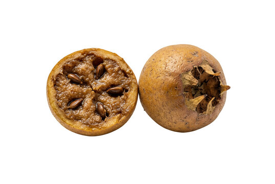 Ripe medlar fruit and cross section with seeds, organic brown mespilus germanica, healthy winter fruit for culinary and medicinal use isolated on Transparent Background
