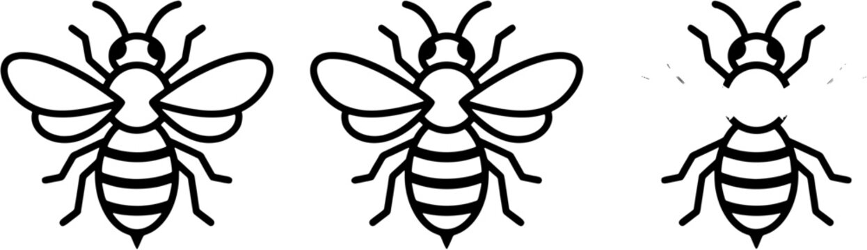 Set of three stylized bee icons showing different coloring styles for graphic design