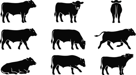 Cow and calf silhouette collection in various farm poses cattle bovine © Shahzad GFX