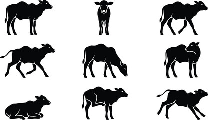 Cow and Calf Silhouettes in Various Poses failed error © shahzad