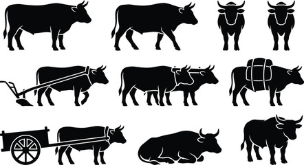 Collection of Nine Black and White Silhouettes of Bulls and Oxen in Various Poses cattle animal © Shahzad GFX